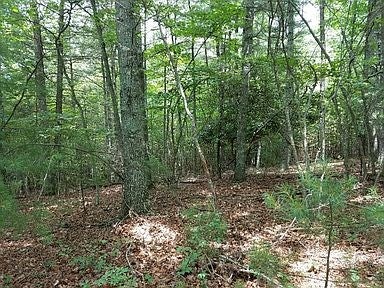 Tbd Lincoln Road, Unit 3 Galax, VA 24333 - Photo 12 of 64 Gallery Image 12