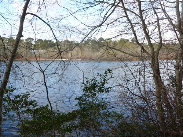 71 Harju Road Centerville, MA 02632 - Photo 5 of 8 Gallery Image 5