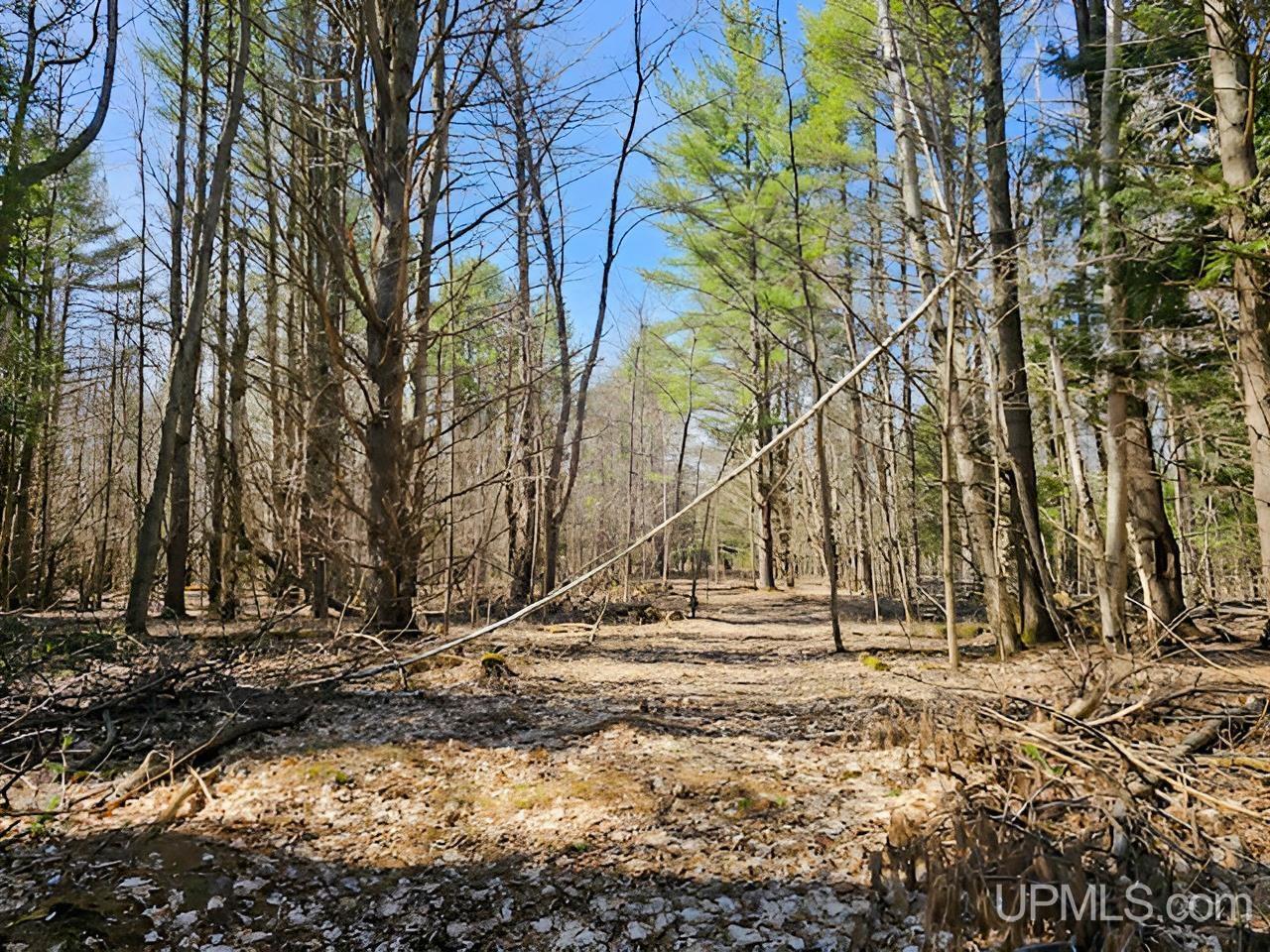 9546 Chvala Road Manistique, MI 49854 - Photo 42 of 47 Gallery Image 42