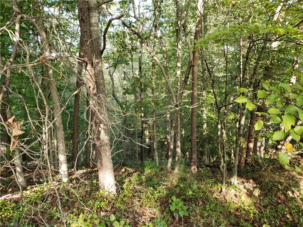 0 Baltimore Road East Bend, NC 27018 - Photo 11 of 29 Gallery Image 11