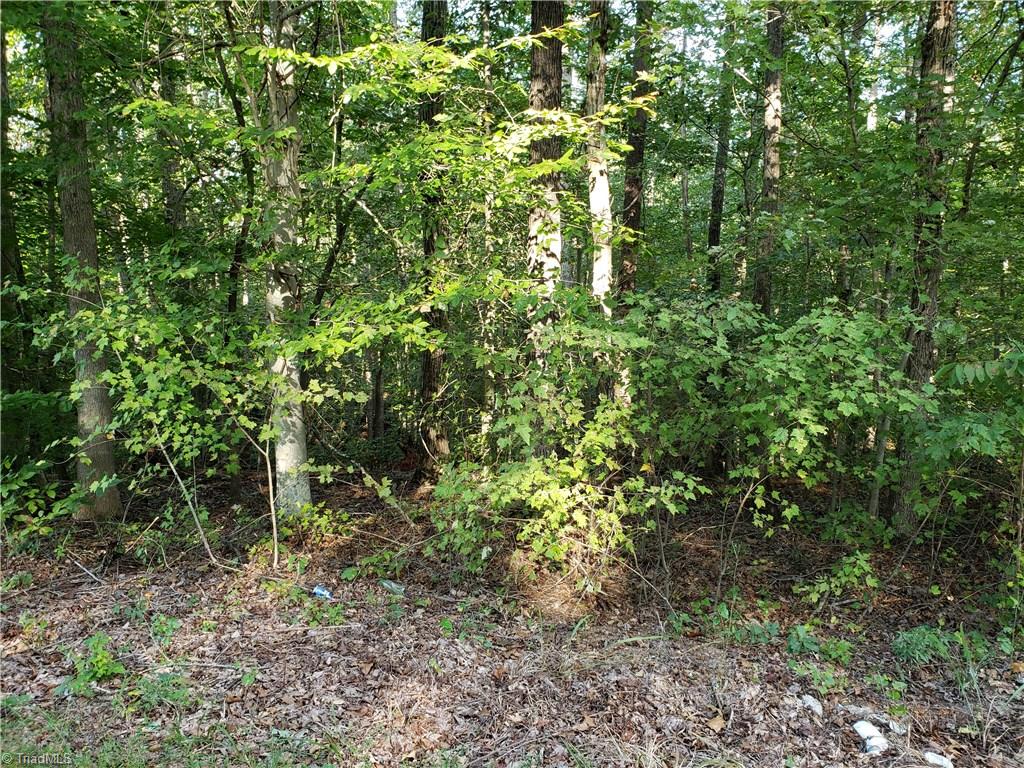 0 Baltimore Road East Bend, NC 27018 - Photo 12 of 29 Gallery Image 12