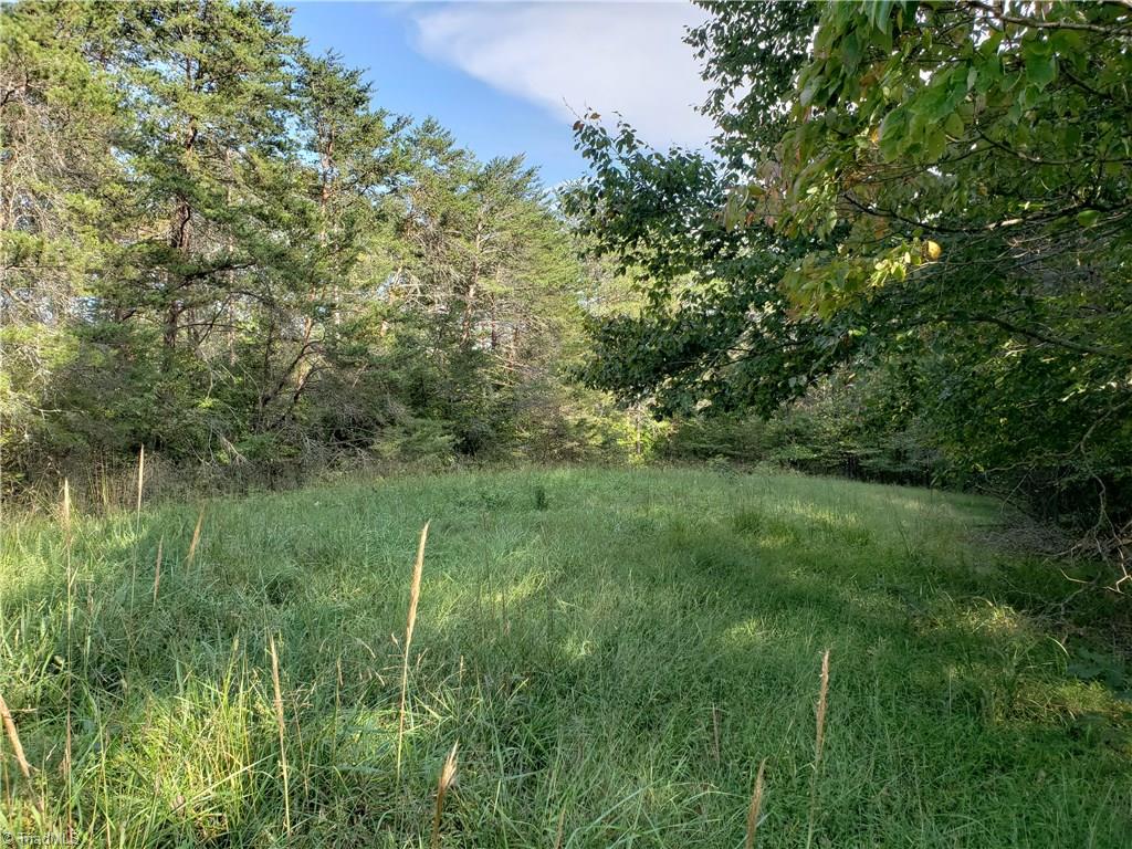 0 Baltimore Road East Bend, NC 27018 - Photo 13 of 29 Gallery Image 13