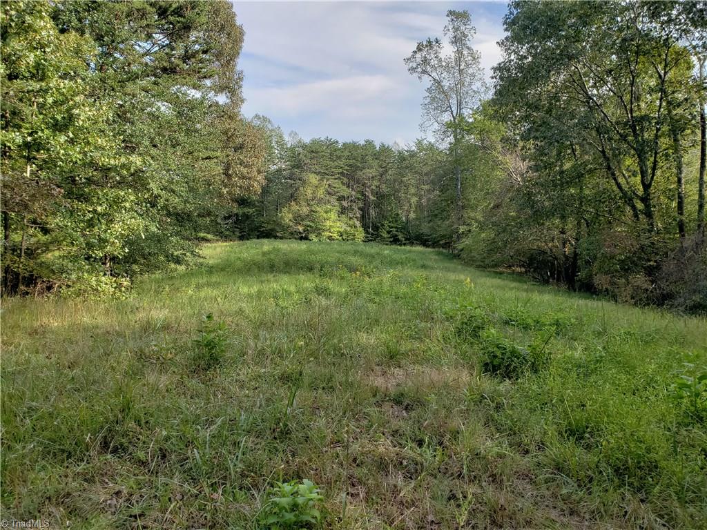 0 Baltimore Road East Bend, NC 27018 - Photo 14 of 29 Gallery Image 14