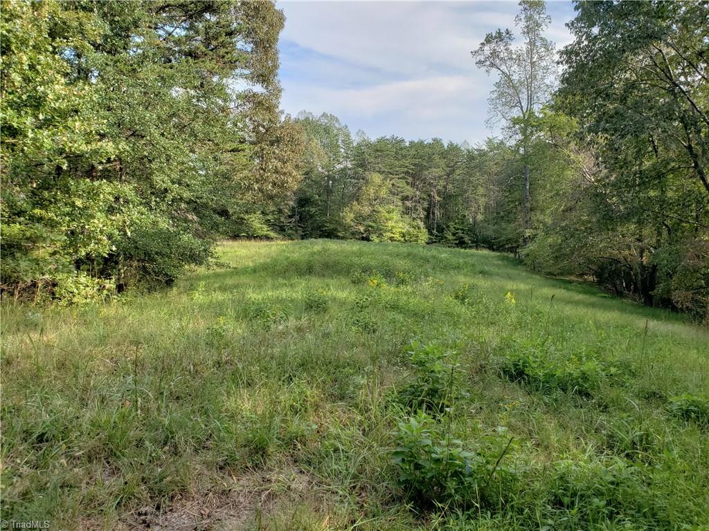 0 Baltimore Road East Bend, NC 27018 - Photo 15 of 29 Gallery Image 15