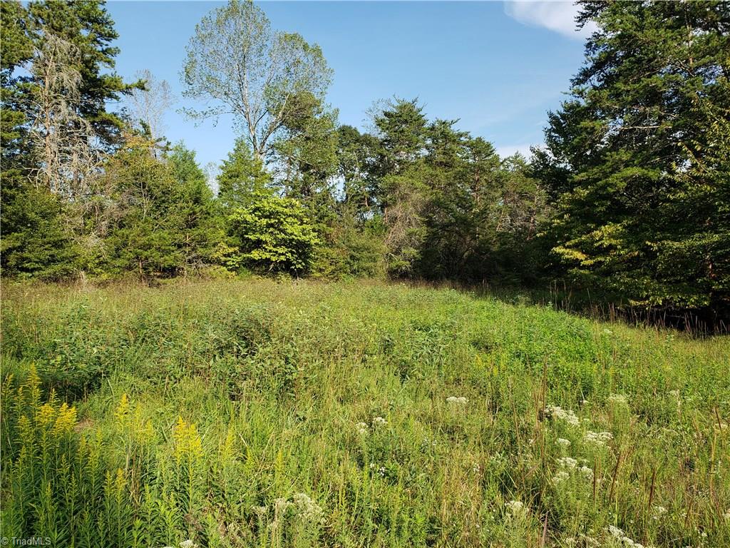 0 Baltimore Road East Bend, NC 27018 - Photo 16 of 29 Gallery Image 16