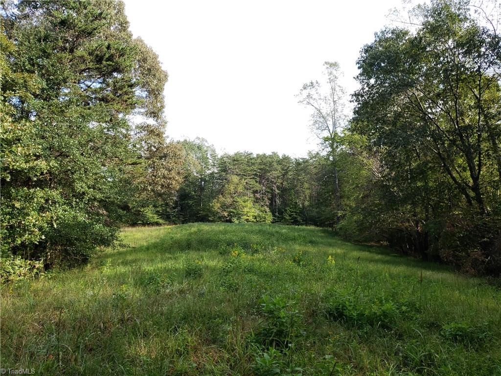 0 Baltimore Road East Bend, NC 27018 - Photo 17 of 29 Gallery Image 17