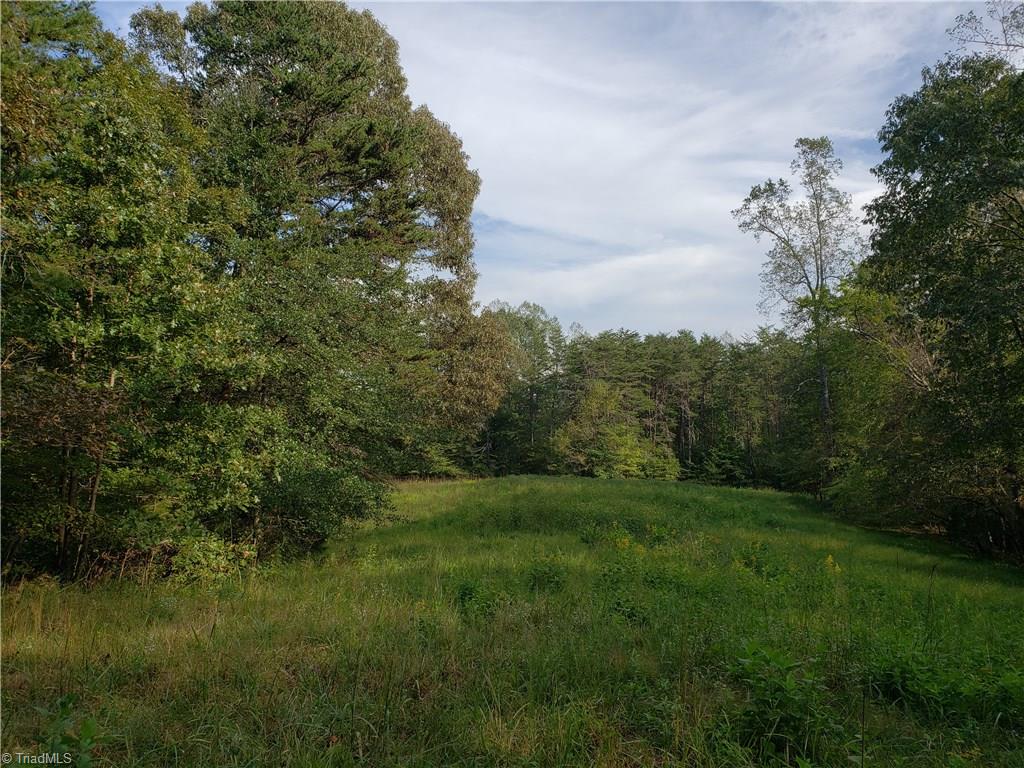 0 Baltimore Road East Bend, NC 27018 - Photo 18 of 29 Gallery Image 18