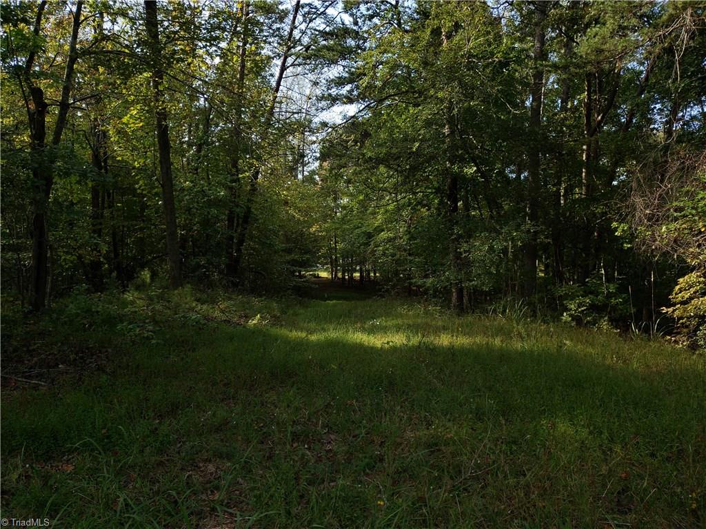 0 Baltimore Road East Bend, NC 27018 - Photo 19 of 29 Gallery Image 19