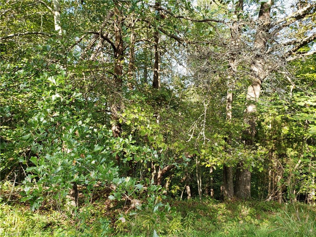 0 Baltimore Road East Bend, NC 27018 - Photo 20 of 29 Gallery Image 20