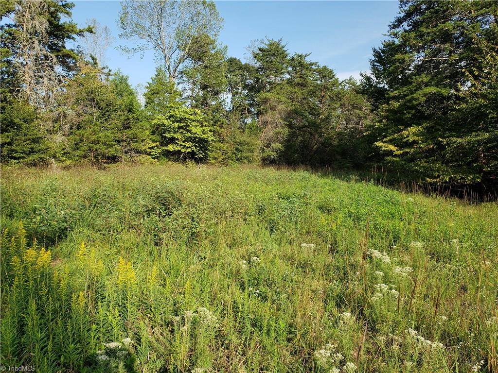0 Baltimore Road East Bend, NC 27018 - Photo 21 of 29 Gallery Image 21