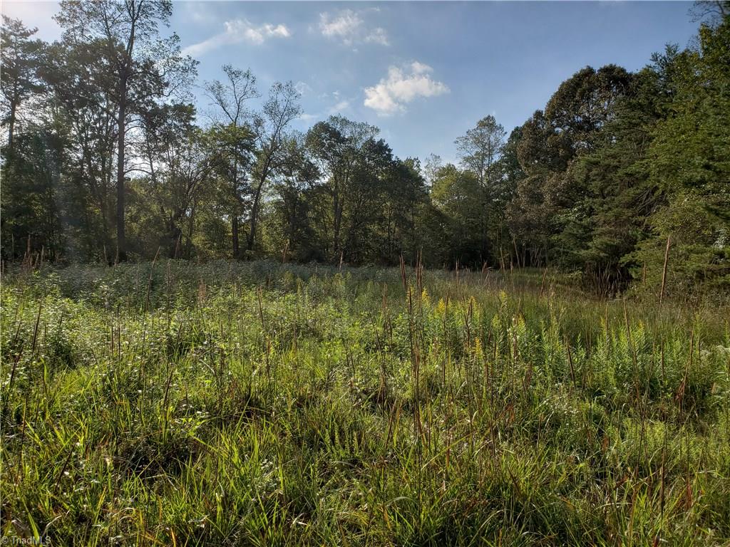 0 Baltimore Road East Bend, NC 27018 - Photo 23 of 29 Gallery Image 23