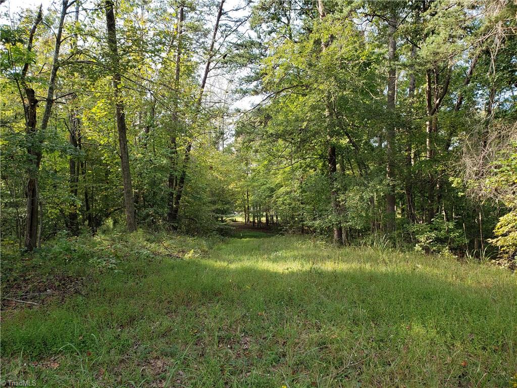 0 Baltimore Road East Bend, NC 27018 - Photo 24 of 29 Gallery Image 24