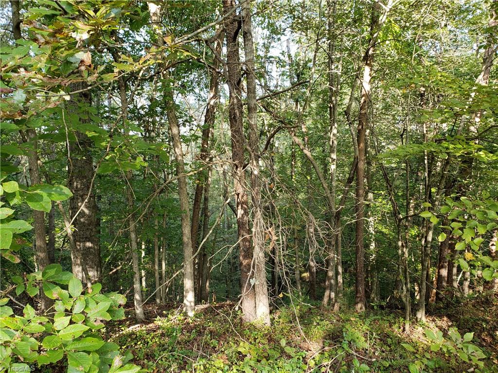 0 Baltimore Road East Bend, NC 27018 - Photo 25 of 29 Gallery Image 25
