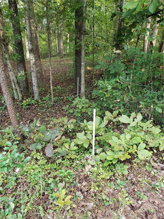 0 Baltimore Road East Bend, NC 27018 - Photo 26 of 29 Look for white markers
