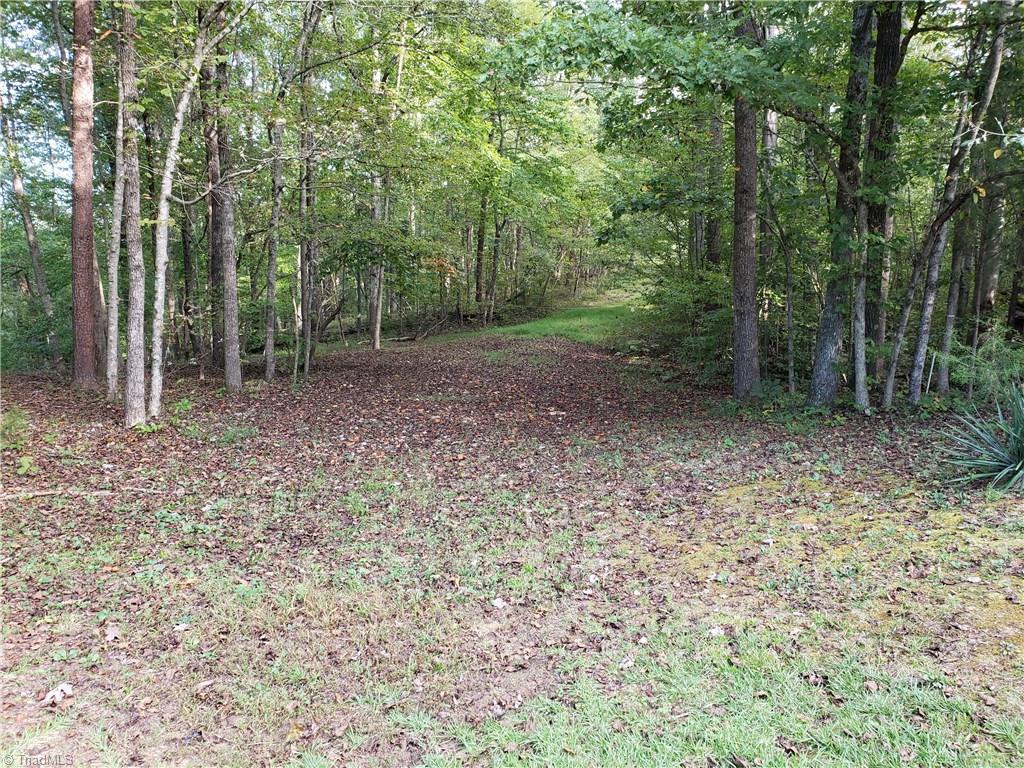0 Baltimore Road East Bend, NC 27018 - Photo 8 of 29 Gallery Image 8