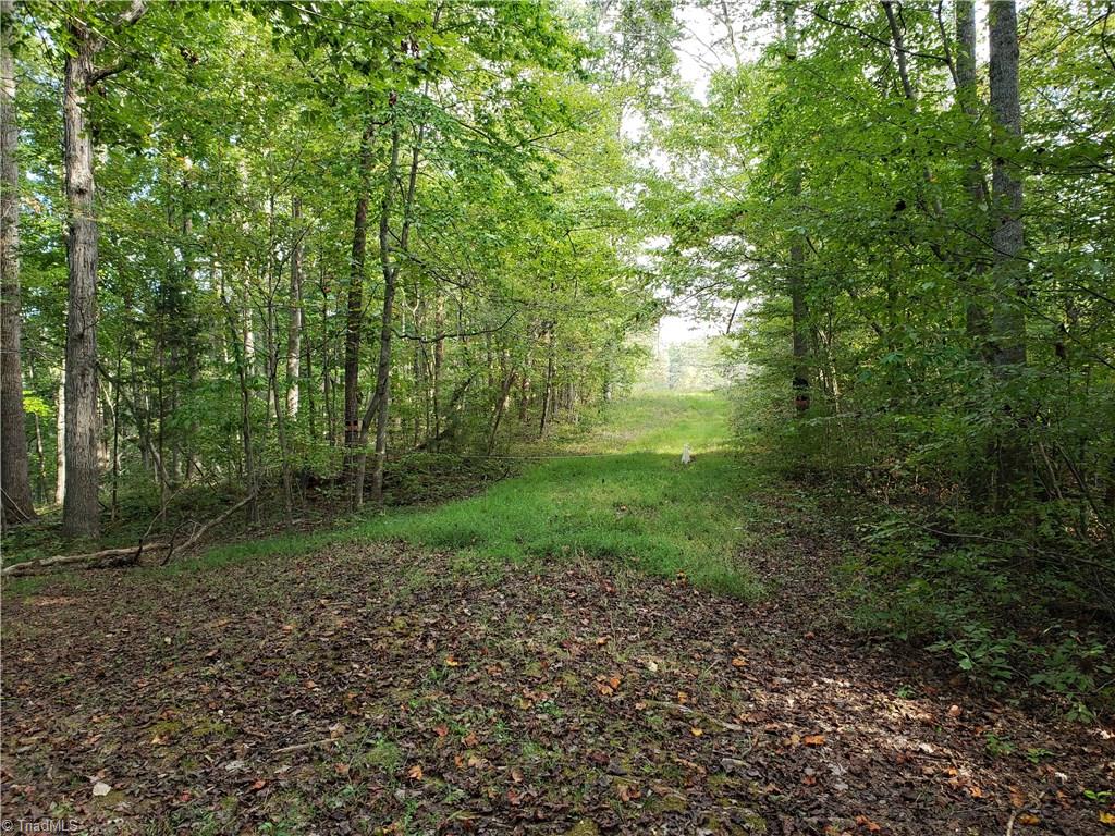 0 Baltimore Road East Bend, NC 27018 - Photo 9 of 29 Gallery Image 9