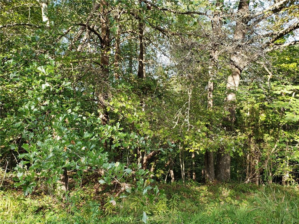 0 Baltimore Road East Bend, NC 27018 - Photo 10 of 29 Gallery Image 10