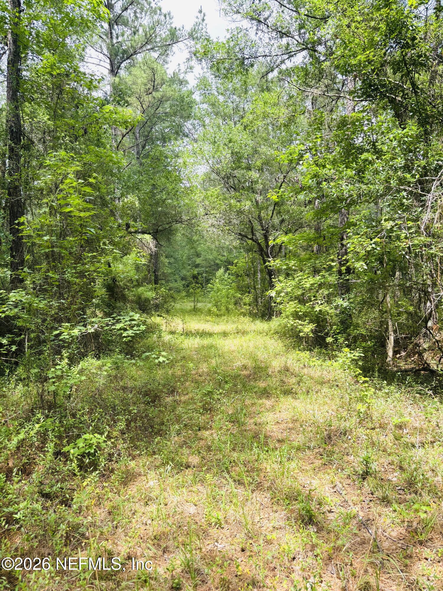 0 Lake Hampton Road Hilliard, FL 32046 - Photo 14 of 23 a view of yard with green space