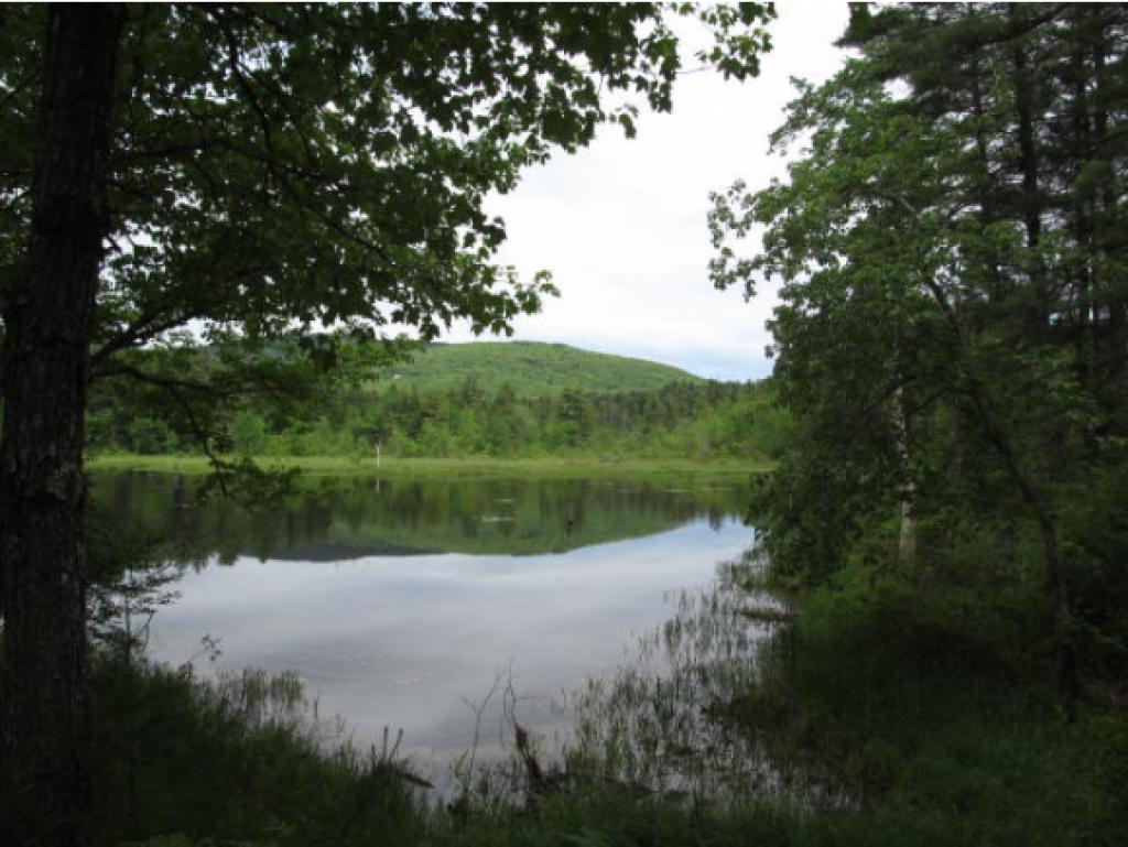 83 Condy Road Peterborough, NH 03458 - Photo 24 of 24