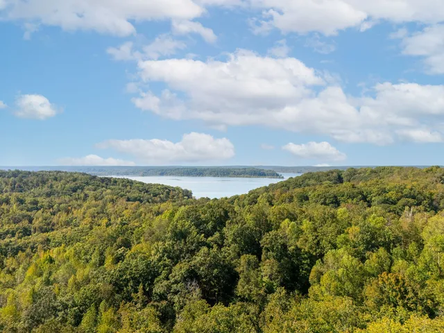 a view of a yard with large trees