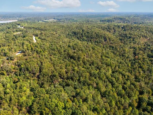 a view of a field with an trees