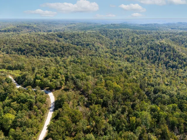 an aerial view of house with yard and mountain view in back