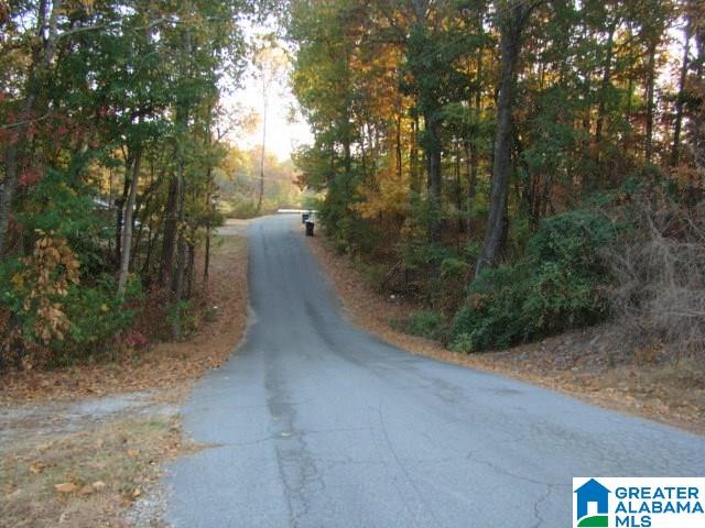 0 Timree Street, Unit 15 & 16 Weaver, AL 36277 - Photo 4 of 5