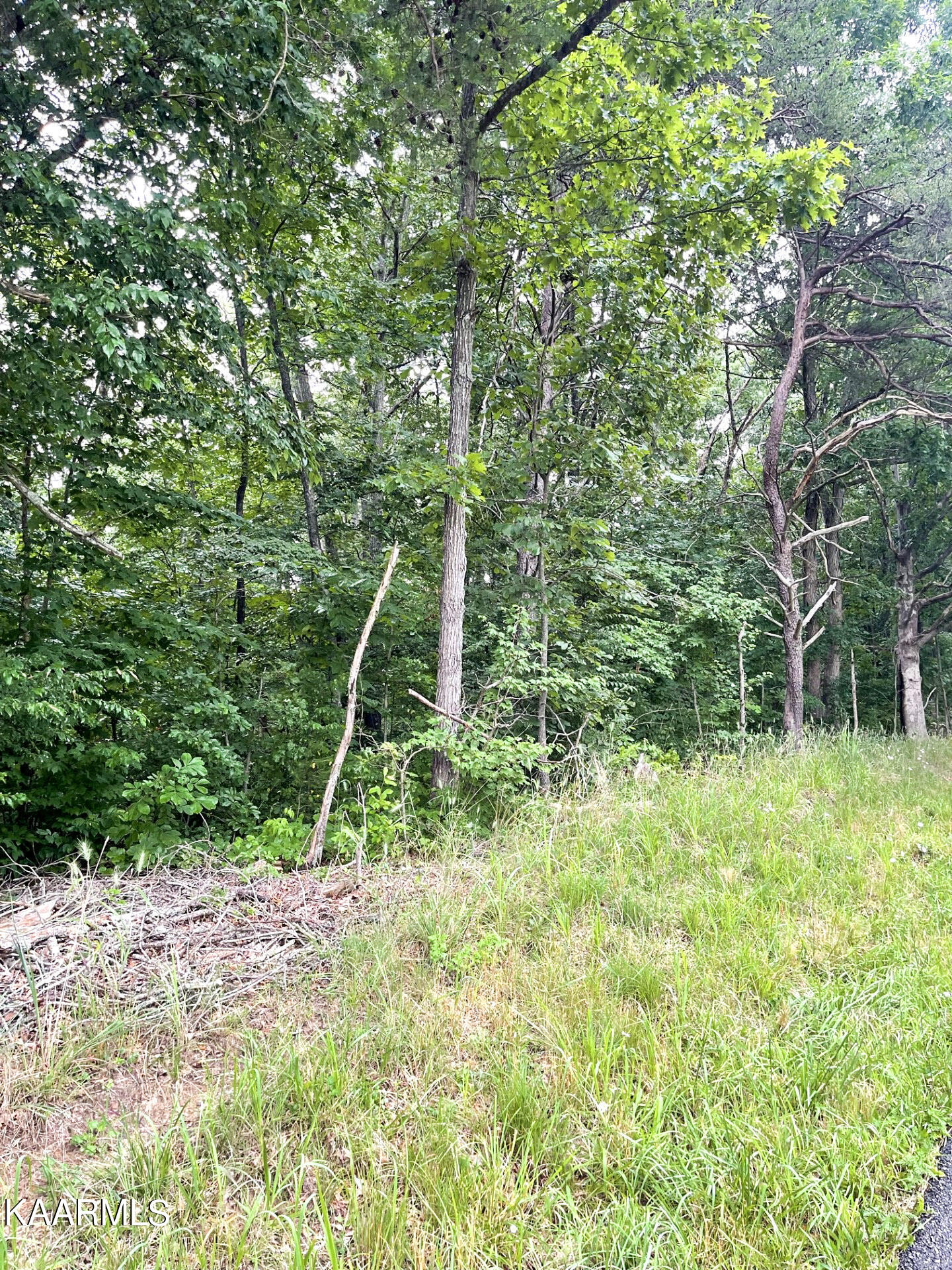 Lantana Road Crossville, TN 38572 - Photo 2 of 5 2-thumbnail_IMG_8228