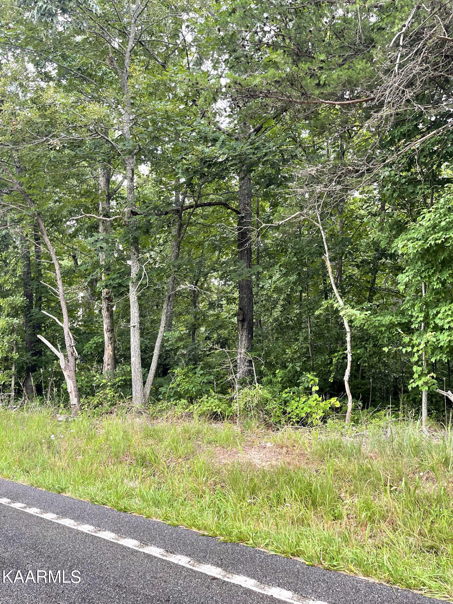 Lantana Road Crossville, TN 38572 - Photo 4 of 5 4-thumbnail_IMG_8229