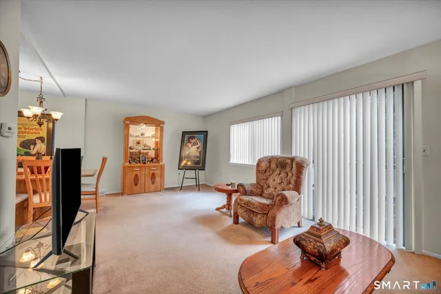 a living room with furniture rug and window