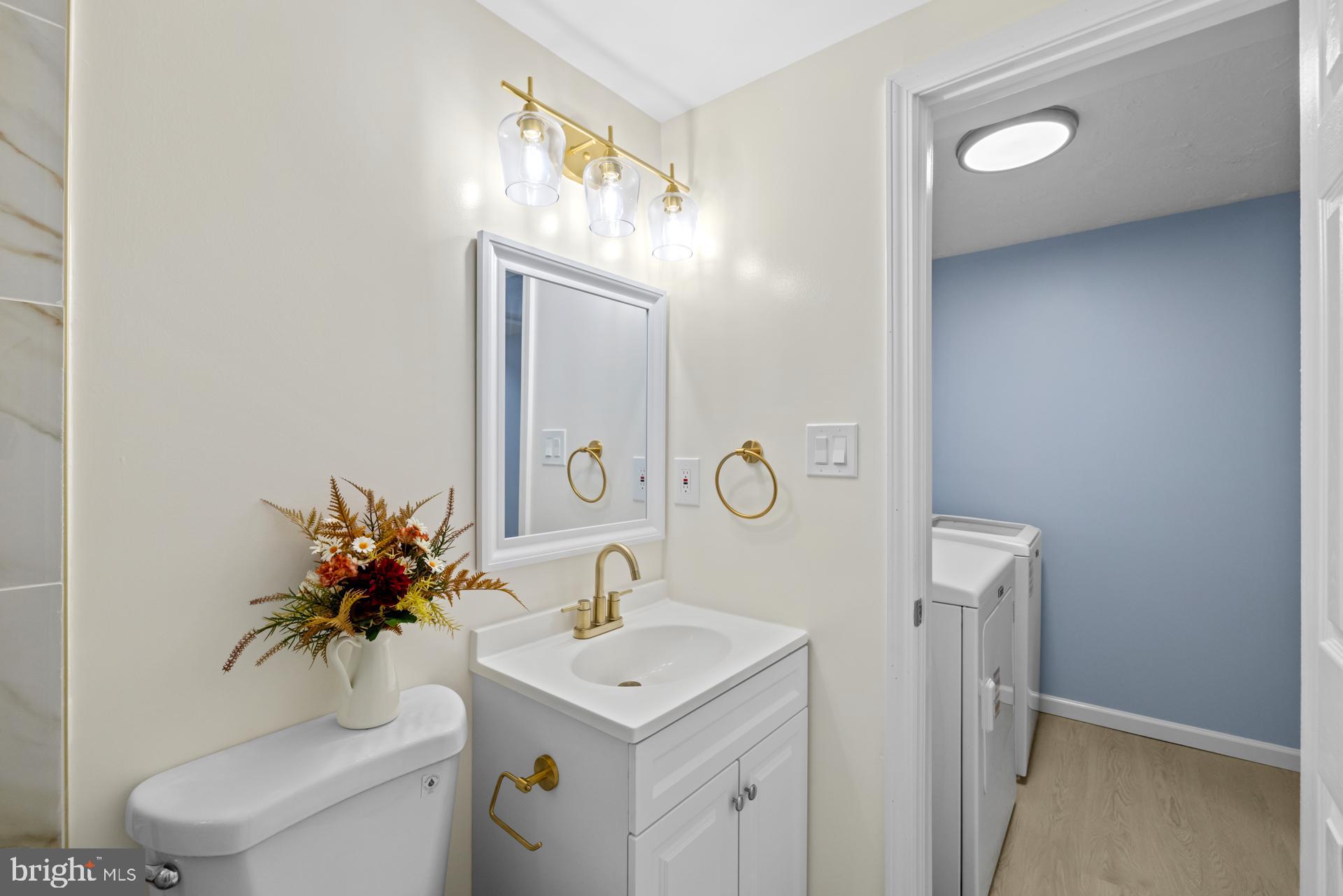 8318 Brookvale Court Springfield, VA 22153 - Photo 29 of 39 a bathroom with a sink a toilet and a mirror