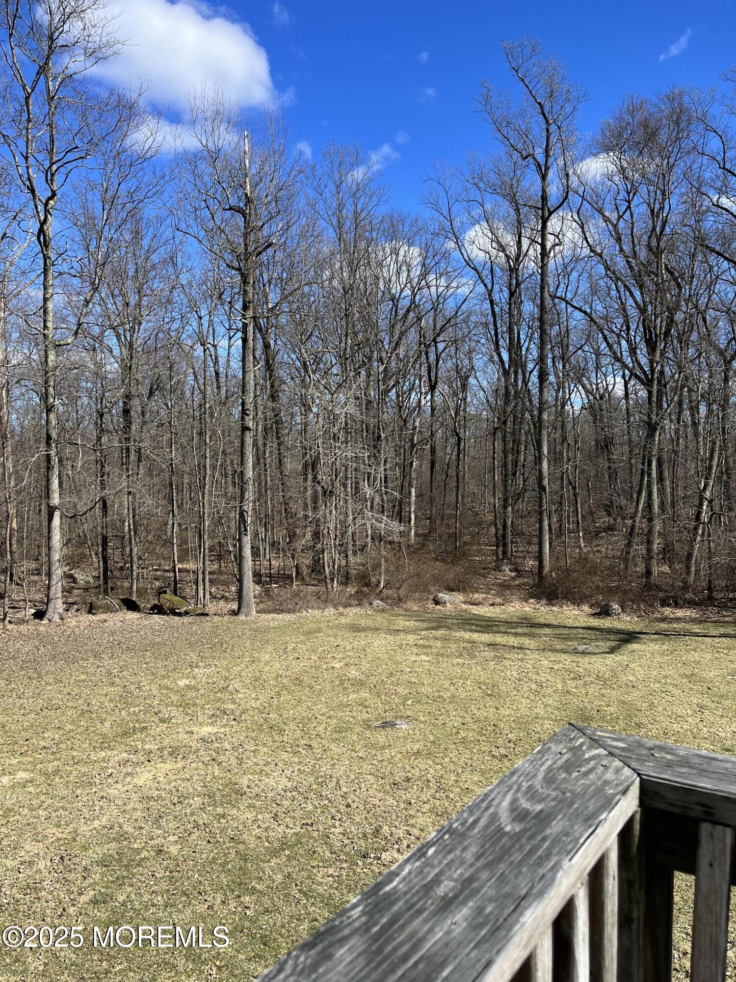 131 Lindbergh Road Hopewell, NJ 08525 - Photo 46 of 50 IMG_1100