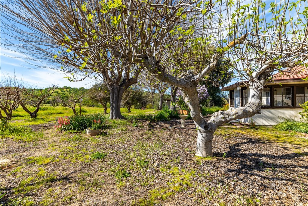 5335 Monterey Road Paso Robles, CA 93446 - Photo 28 of 50