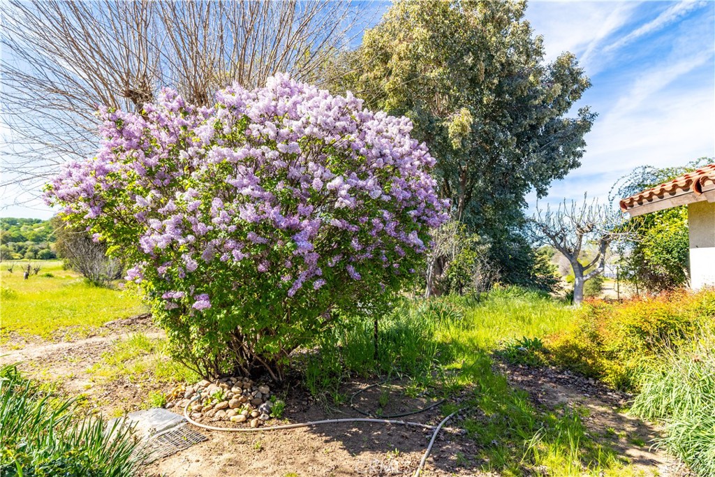 5335 Monterey Road Paso Robles, CA 93446 - Photo 31 of 50