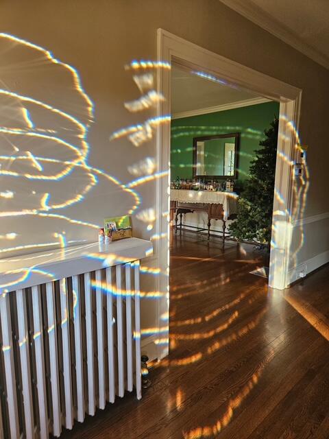 1930 Grandin Road Southwest Roanoke, VA 24015 - Photo 9 of 100 Sidelights Casting their Radiance