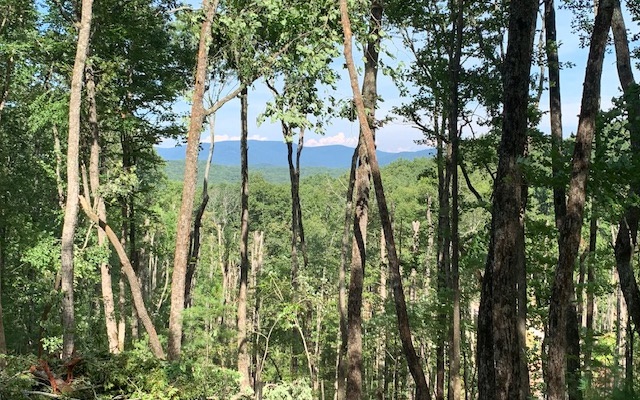 12 Blue Ridge Blue Ridge, GA 30513 - Photo 1 of 1