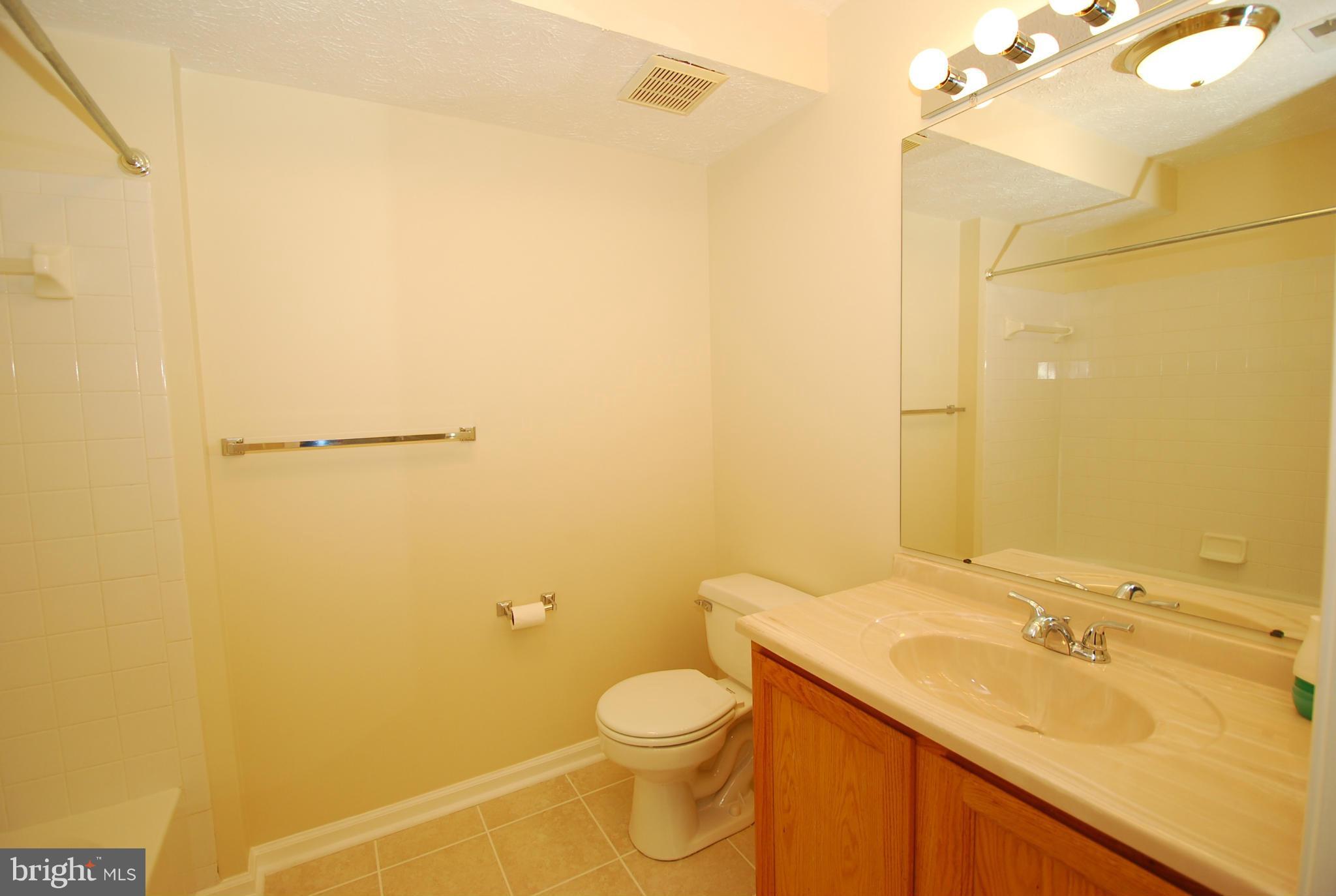 10109 Ridge Manor Terrace, Unit H Damascus, MD 20872 - Photo 6 of 17 Bath (Master)