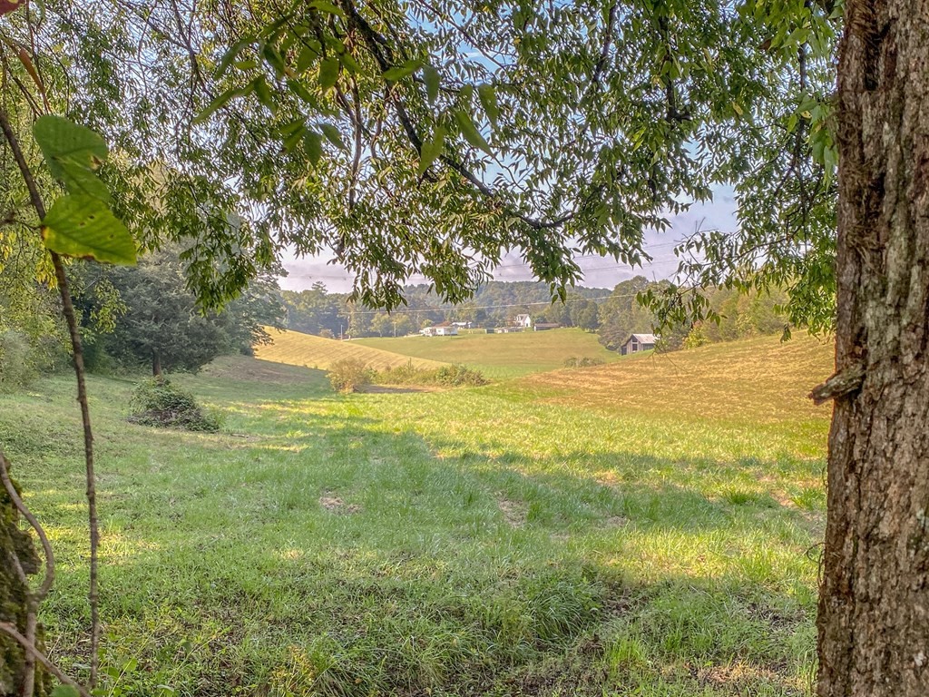 137 Old James Ferry Road Kingston, TN 37763 - Photo 55 of 60