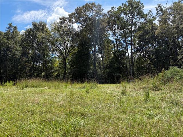 2 North Thibodeaux Road Ponchatoula, LA 70454 - Photo 3 of 3 Gallery Image 3