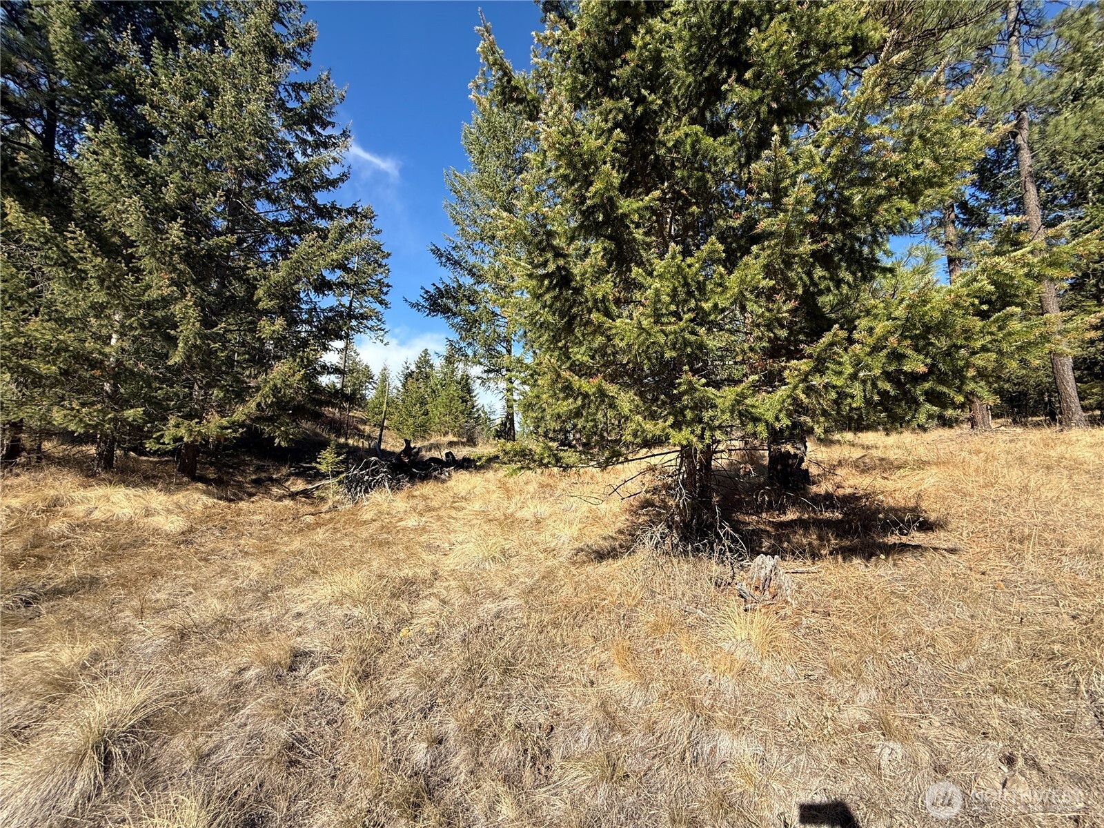 9999 Shade Tree Road Republic, WA 99166 - Photo 15 of 22 a view of outdoor space and covered with fog