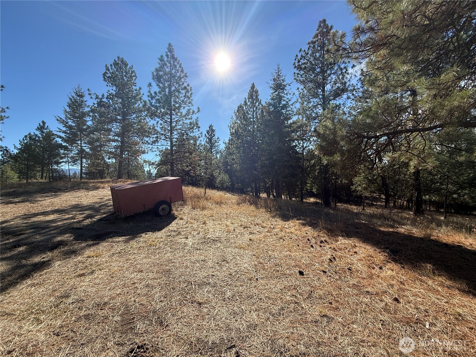 9999 Shade Tree Road Republic, WA 99166 - Photo 19 of 22 a backyard of a house