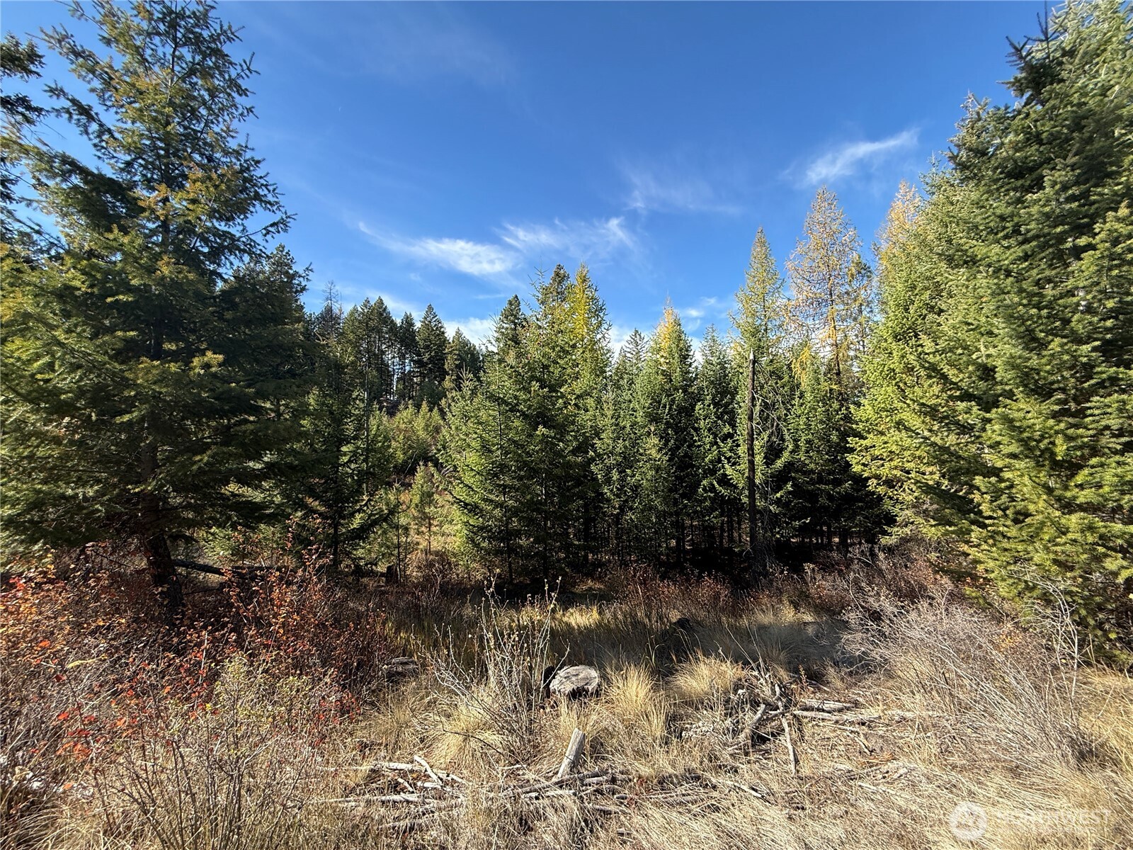 9999 Shade Tree Road Republic, WA 99166 - Photo 4 of 22 a view of a lake with lots of trees