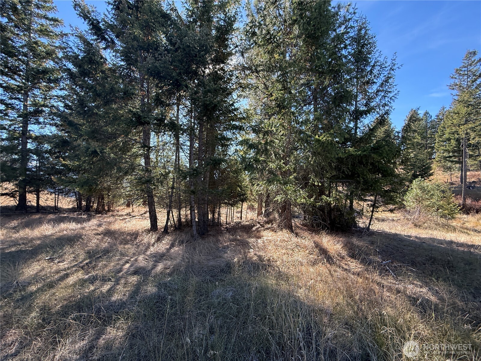 9999 Shade Tree Road Republic, WA 99166 - Photo 8 of 22