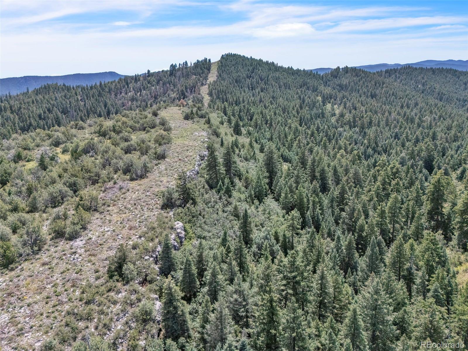 Beulah Highlands Road Beulah, CO 81023 - Photo 10 of 20