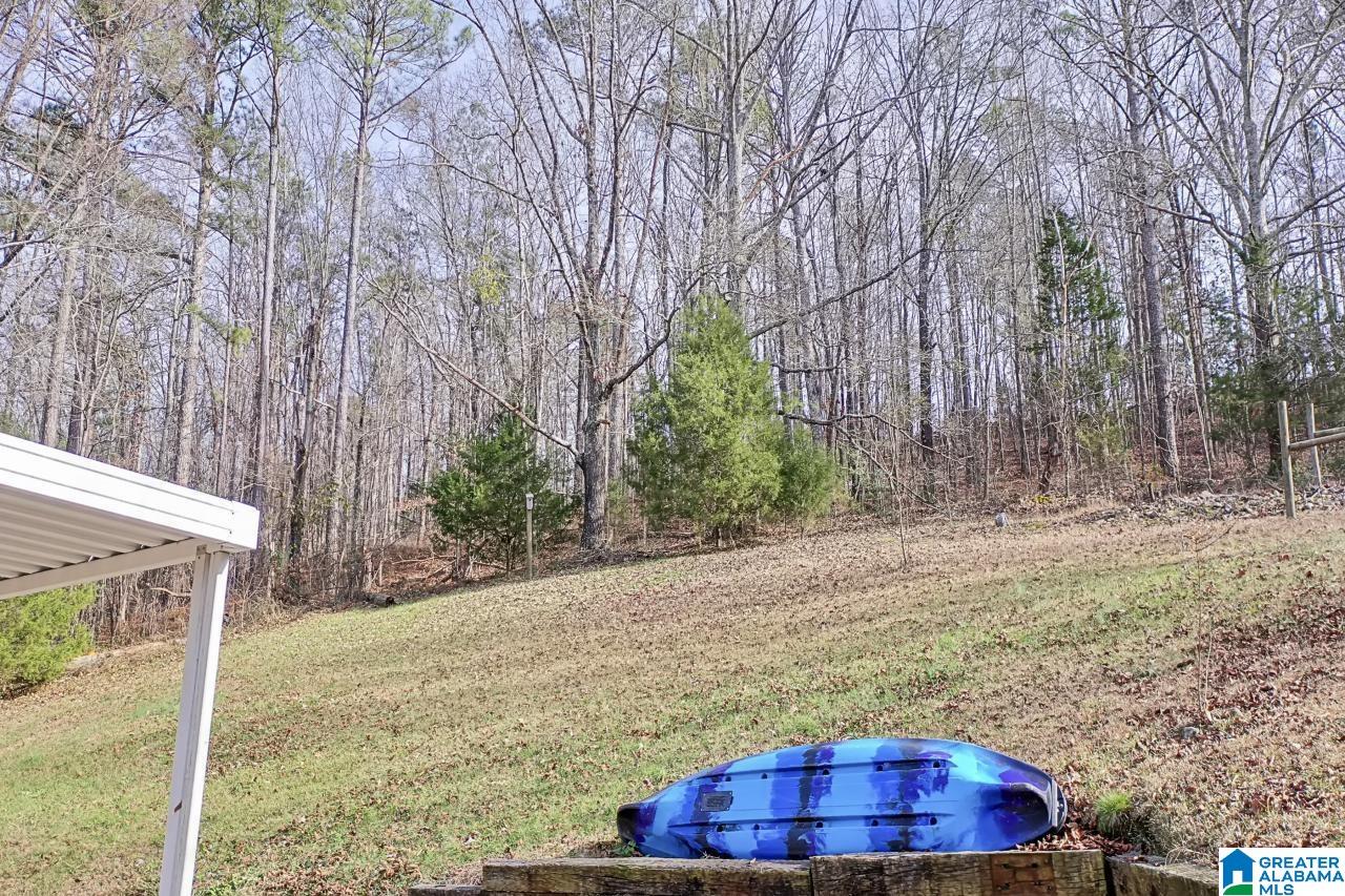 2915 Springville Boulevard Oneonta, AL 35121 - Photo 41 of 41