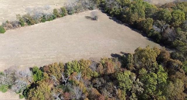 Tbd Jay Road Van Alstyne, TX 75495 - Photo 18 of 28 a view of a dry yard with plants and large trees