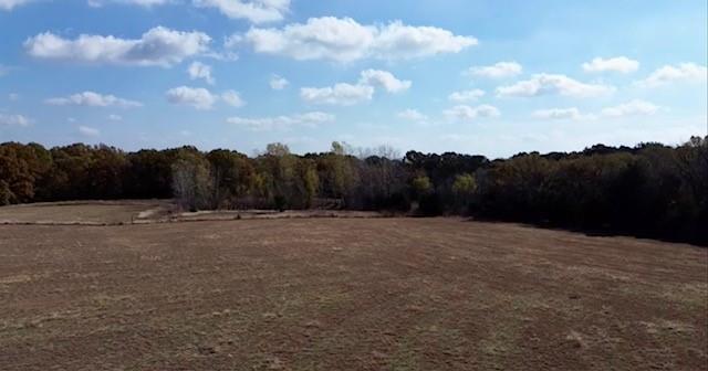 Tbd Jay Road Van Alstyne, TX 75495 - Photo 25 of 28 View of tree filled area