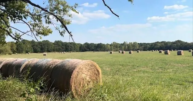 a view of a lake with houses in the back