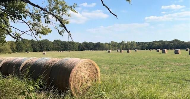 Tbd Jay Road Van Alstyne, TX 75495 - Photo 3 of 28 a view of a lake with houses in the back