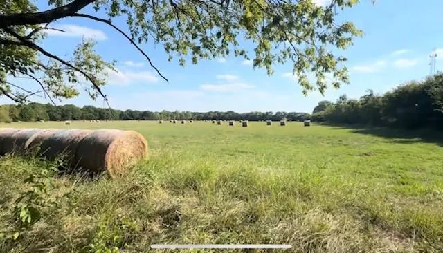 a view of a field with trees in the background